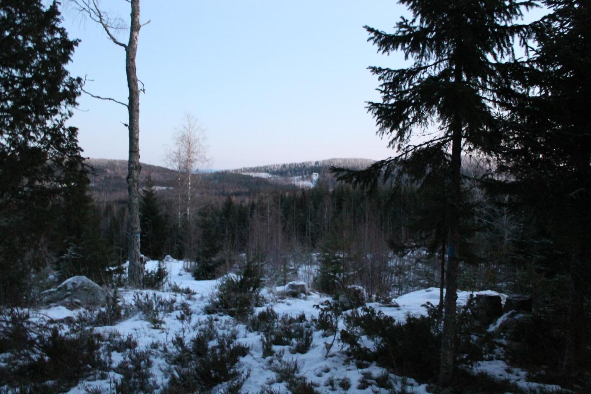 Maatilamatkailu Jaenisvaara Kolinkylä Habitación foto