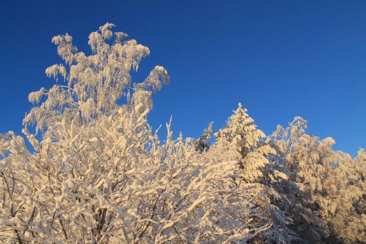 Maatilamatkailu Jaenisvaara Kolinkylä Exterior foto