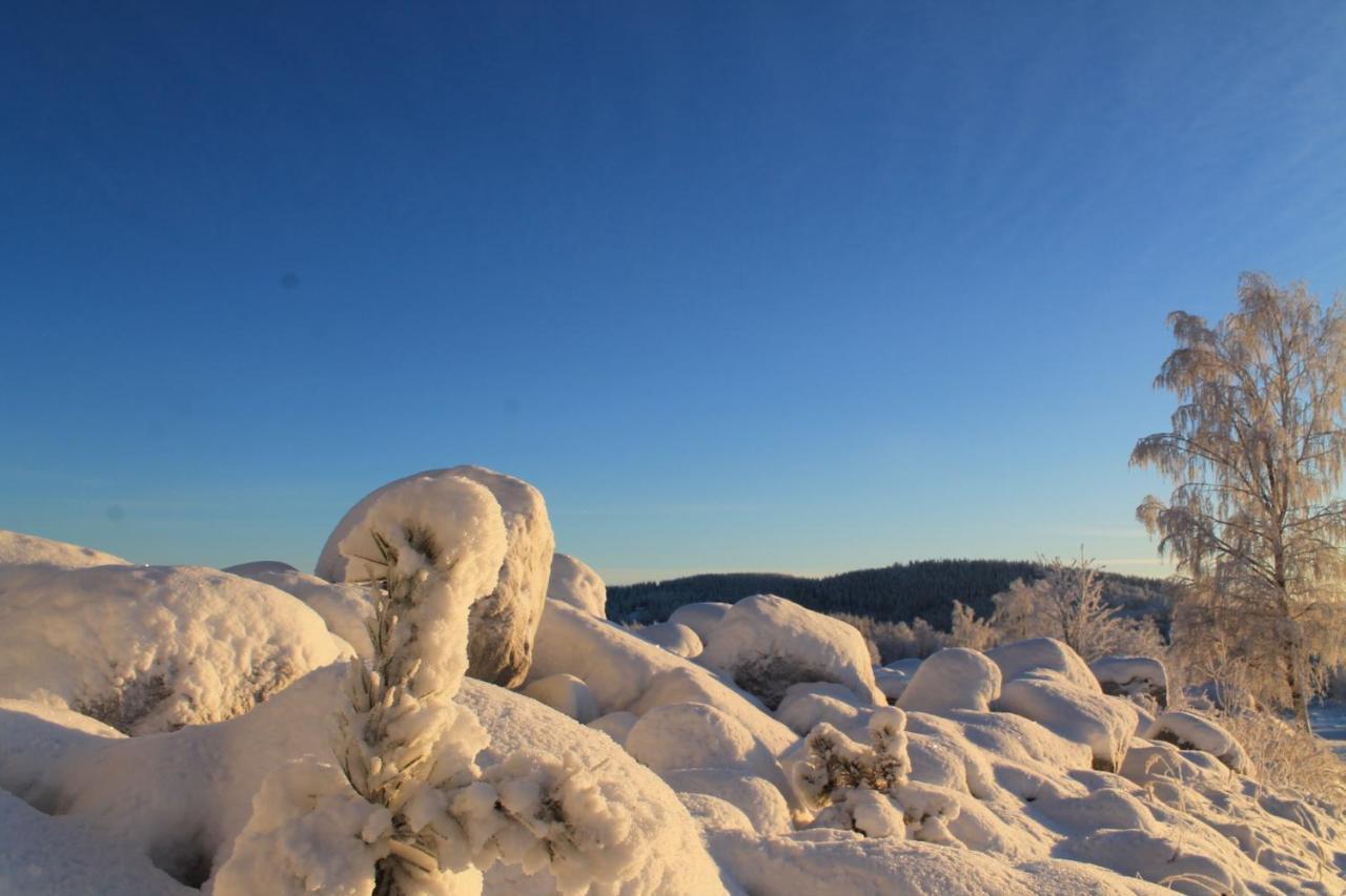 Maatilamatkailu Jaenisvaara Kolinkylä Exterior foto